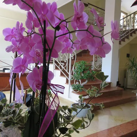 Guest house Scaligero Verona