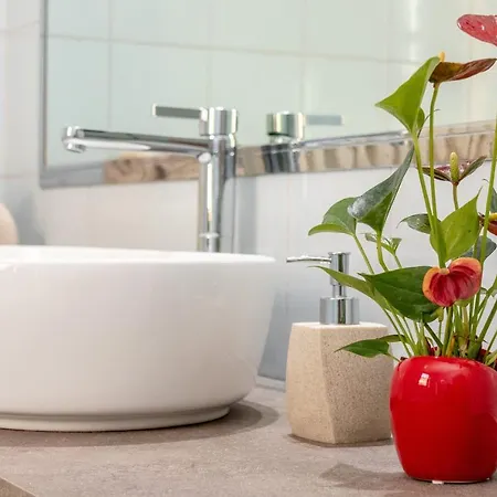 Scaligero فيرونا