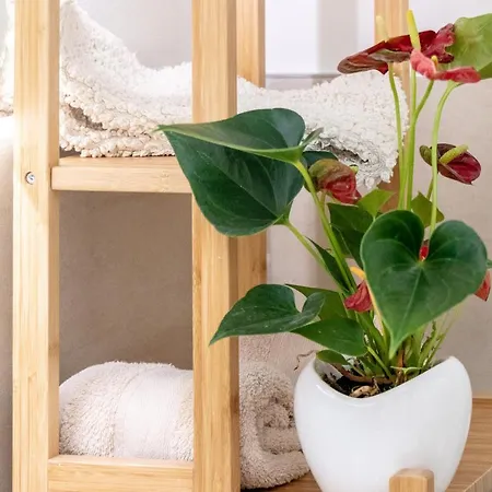 Scaligero 招待所 4*